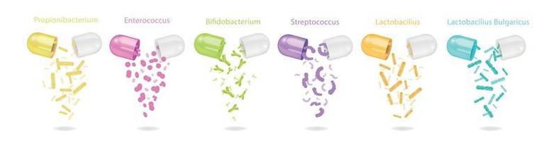 Probiotics Capsules Set vector