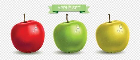 Realistic Apples Set vector