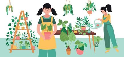 Home Plants Composition vector