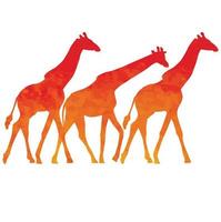 Watercolor red giraffes on white background vector