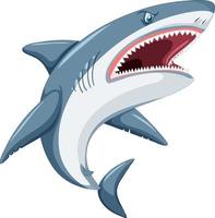 Aggressive great white shark cartoon vector