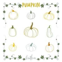 Vecter pumpkin lineart halloween set vector