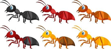 Set of different ants isolated vector