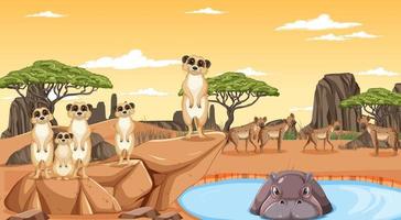 Dryland forest landscape with animals vector
