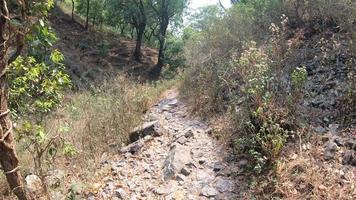 trekking nas montanhas em uttarakhand perto de bhimtal. video