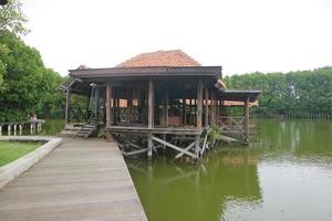 Broken wooden building on the edge of a swamp with green water photo