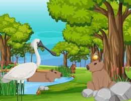 Various animals in the forest vector