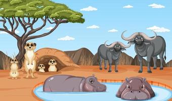 Dryland forest landscape with animals vector