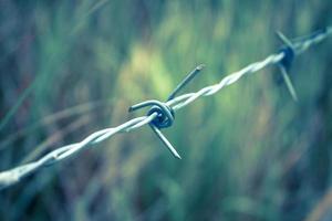 Barbed wire fence and green field closeup photo