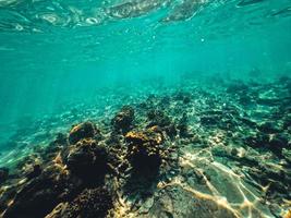 bajo el agua en la playa de la isla foto