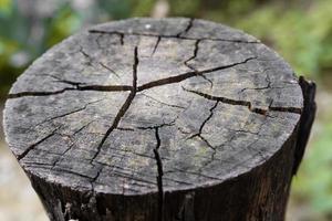 A closeup shot of a top of a circular wooden block with visible cracks and texture of the wood.