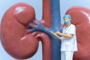 Miniature People Doctor analyzing of patient kidney health photo