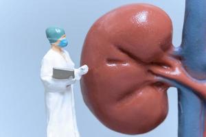 Miniature People Doctor analyzing of patient kidney health photo