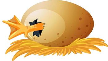 Hatching duck egg isolated vector