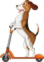 Cute puppy dog playing scooter on white background vector