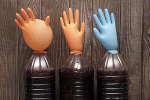 Correct fermentation process, making homemade wine. Plastic bottles with huge multi-colored inflated gloves on a wooden background. photo