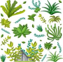 Various plants seamless pattern vector