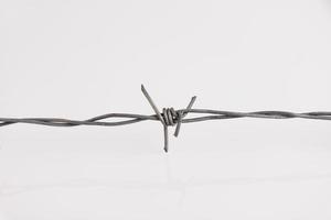 Barbed wire on a white background. Close-up, with a sharp spike. copy space. photo