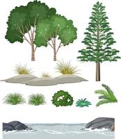 Isolated trees and nature objects set vector