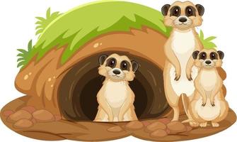 Group of meerkats with burrow in cartoon style vector