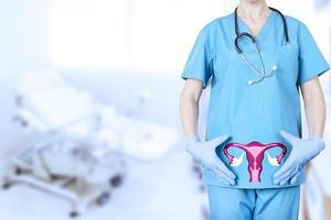 gynecologist and a model of the reproductive system of a woman, the uterus, at the level of the pelvic bones of a woman, on a blurred background of a gynecological chair in the office. photo