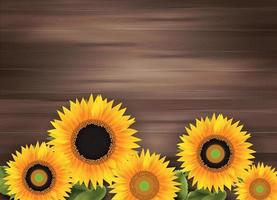 fondo realista de girasol vector