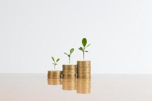 golden coins stack and tree growing on top photo