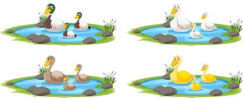 Duck in the pond on white background vector