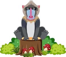 Cute mandrill in flat style vector