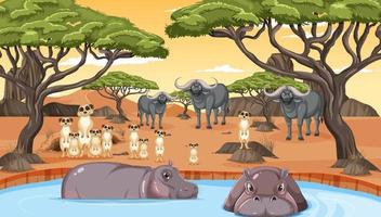 Dryland forest landscape with animals vector