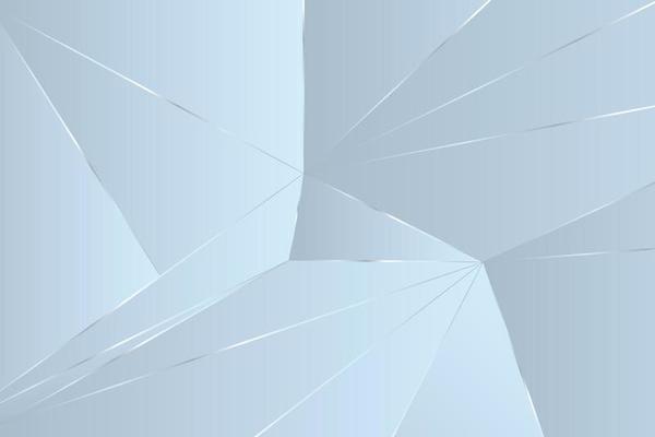 Grey background with the luxury polygonal pattern. Silver triangular lines illustration. Low poly gradient surface