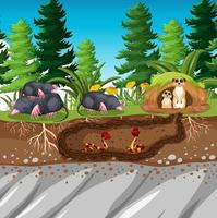 agujero de animal subterráneo en estilo de dibujos animados vector