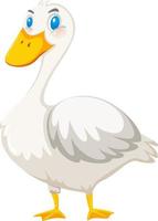 Duck cartoon character on white background vector