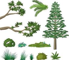 Set of nature forest elements vector