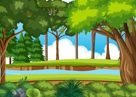 Empty forest environment background vector