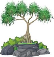 árbol aislado sobre fondo blanco vector