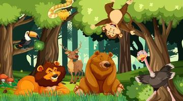 Various animals in the forest vector