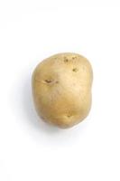 Potato isolated on white background photo