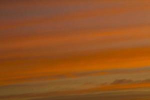 el cielo es una línea horizontal de colores amarillo-naranja y colorido en la hermosa tarde en medio de la naturaleza que es pacífica, cálida y romántica en el campo y es extremadamente hermosa. foto