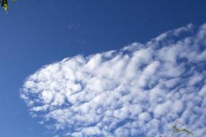 Trees and white clouds and blue sky in the evening after the sun goes down in the countryside photo