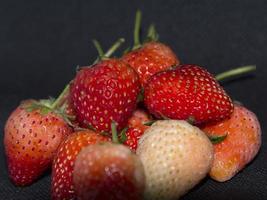 Las deliciosas y frescas fresas rojas maduras son frutas orgánicas de fondo negro. Tomada con flash y luces LED, las tomas se ven nítidas en el estudio de mi casa. foto