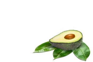 avocado fruit isolated photo