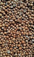 A spreaded dried coriander seed on black background. Ingredient background design. Available for text. Suitable for the food advertising of company and industry, poster, backdrop, flyer, etc. photo