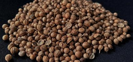 A spreaded dried coriander seed on black background. Ingredient background design. Available for text. Suitable for the food advertising of company and industry, poster, backdrop, flyer, etc. photo