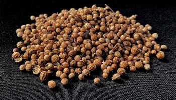 A spreaded dried coriander seed on black background. Ingredient background design. Available for text. Suitable for the food advertising of company and industry, poster, backdrop, flyer, etc. photo