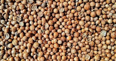 A spreaded dried coriander seed on black background. Ingredient background design. Available for text. Suitable for the food advertising of company and industry, poster, backdrop, flyer, etc. photo