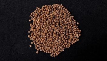 A spreaded dried coriander seed on black background. Ingredient background design. Available for text. Suitable for the food advertising of company and industry, poster, backdrop, flyer, etc. photo