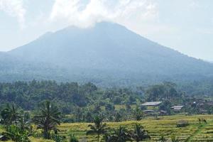 Famous Jatiluwih Rice terraces in Bali. Tabanan, Indonesia photo