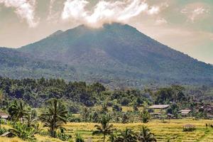 Famous Jatiluwih Rice terraces in Bali. Tabanan, Indonesia photo