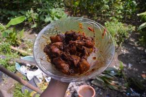 Pollo salteado con salsa de soja. cocina familiar. menú de comida familiar. foto